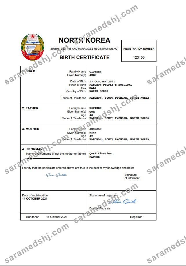 North Korea birth certificate Word and PDF template